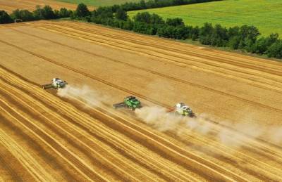 В Украине намолотили более 24 млн т зерна - agroportal.ua - Украина - Луганская обл. - Херсонская обл. - Донецкая обл.