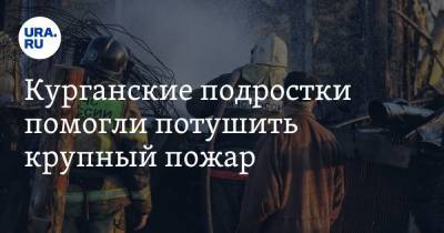 Курганские подростки помогли потушить крупный пожар - ura.news