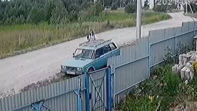 В Пикалево на камеру попали двое подростков, скрутивших колпачки с колес автомобиля — видео - ivbg.ru - Украина - Ленобласть