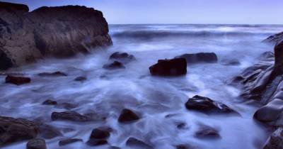 Ученые обнаружили жуткую биолюминесценцию, создающую "молочное море" - focus.ua - Украина