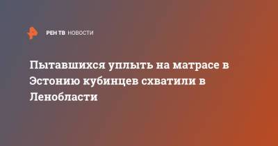 Пытавшихся уплыть на матрасе в Эстонию кубинцев схватили в Ленобласти - ren.tv - Россия - Ленинградская обл. - Санкт-Петербург - Эстония - Испания - Куба