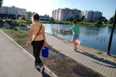 Сергей Бусурин - В Великом Новгороде выбрали нового директора парков - mk.ru - Великий Новгород