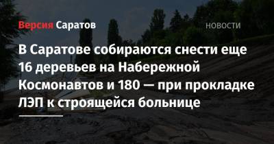 В Саратове собираются снести еще 16 деревьев на Набережной Космонавтов и 180 — при прокладке ЛЭП к строящейся больнице - nversia.ru - Саратов