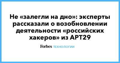 Не «залегли на дно»: эксперты рассказали о возобновлении деятельности «российских хакеров» из APT29 - forbes.ru - Россия - США - Англия - Канада