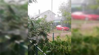 Ливень с градом обрушился на часть Воронежа и пригород - vestivrn.ru - Воронеж