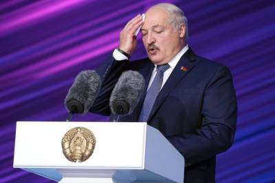 Александр Лукашенко - Светлана Тихановская - Джо Байден - Лукашенко оценил помощь Байдена Тихановской: Даст печенюшку - mk.ru - Россия - США - Вашингтон - Белоруссия - Минск