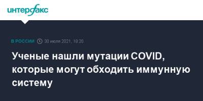 Ученые нашли мутации COVID, которые могут обходить иммунную систему - interfax.ru - Москва