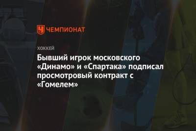 Бывший игрок московского «Динамо» и «Спартака» подписал просмотровый контракт с «Гомелем» - championat.com - Москва - Россия - Белоруссия - Гомель