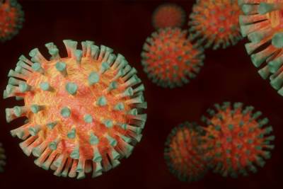 Российские ученые выявил мутации, которые позволяют коронавирусу обходить иммунитет человека – Учительская газета - ug.ru - Санкт-Петербург
