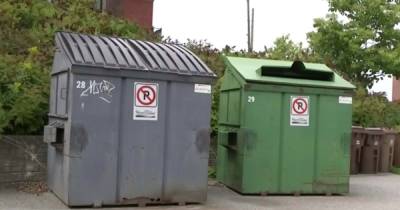 В Канаде тело сгоревшей женщины приняли за манекен и выбросили его в мусорку (видео, фото) - focus.ua - Украина - Канада