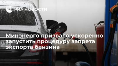 Александр Новак - Николай Шульгинов - Минэнерго призвало правительство ускоренно запустить процедуру запрета экспорта бензина - ria.ru - Москва - Россия