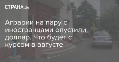 Аграрии на пару с иностранцами опустили доллар. Что будет с курсом в августе - strana.ua - Украина