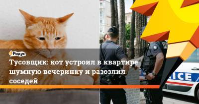 Тусовщик: кот устроил в квартире шумную вечеринку и разозлил соседей - ridus.ru - Испания