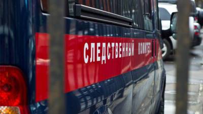 Годовалый ребенок погиб в загородном клубе в Новой Москве - vesti.ru - Москва - На