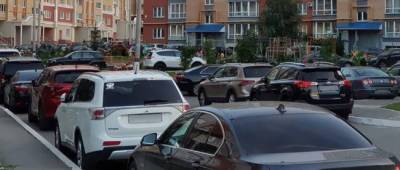 Киевлян заставят платить по 25-35 гривен в час за парковку возле своих домов - w-n.com.ua
