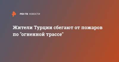 Жители Турции сбегают от пожаров по "огненной трассе" - ren.tv - Турция
