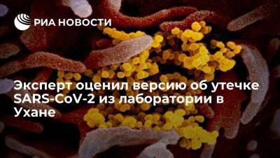 Елизавета Исакова - Эксперт заявил об отсутствии свидетельств об утечке SARS-CoV-2 из лаборатории в Ухане - ria.ru - Китай - Женева - Ухань