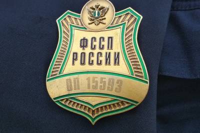 В Тульской области к судебным приставам можно обратиться по «телефону доверия» - tula.mk.ru - Россия - Тула - Тульская обл.