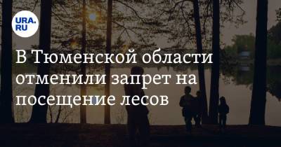 Александр Моор - В Тюменской области отменили запрет на посещение лесов - ura.news - Тюменская обл.