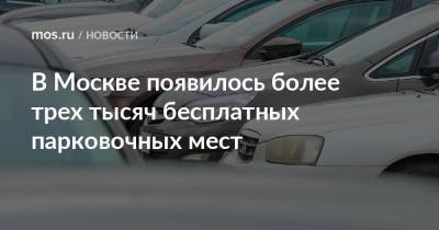 Владимир Ефимов - Владислав Овчинский - В Москве появилось более трех тысяч бесплатных парковочных мест - mos.ru - Москва