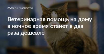 Ветеринарная помощь на дому в ночное время станет в два раза дешевле - mos.ru - Москва
