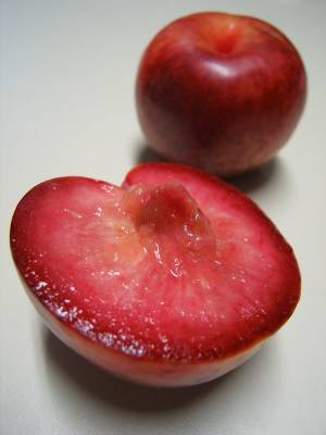 Гибридные фрукты и ягоды про которые вы вероятно не слышали - pravda-tv.ru - США