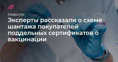 Денис Каминев - Эксперты рассказали о схеме шантажа покупателей поддельных сертификатов о вакцинации - tvrain.ru