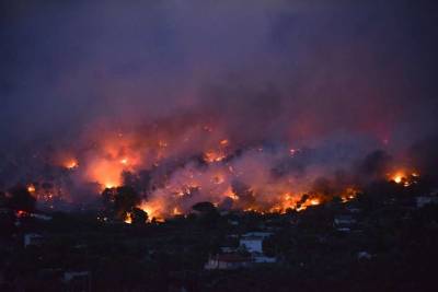 Бекир Пакдемирли - В Турции ликвидировали около 90% лесных пожаров - lenta.ua - Украина - Турция - провинция Анталья - Манавгат