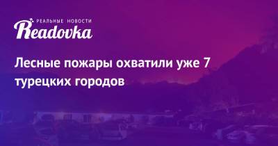 Лесные пожары охватили уже 7 турецких городов - readovka.news - Турция