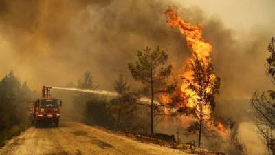 Причина серьёзных лесных пожаров в Турции до сих пор не установлена - argumenti.ru - Россия - Украина - Турция