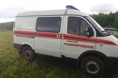 В Арсеньевском районе Тульской области обезврежены боеприпасы времен ВОВ - tula.mk.ru - Россия - Тула - Тульская обл.