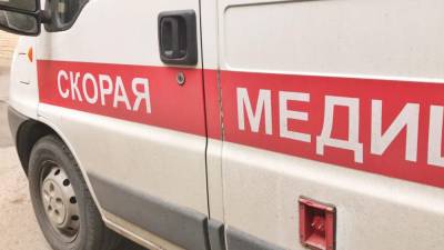 Три человека стали жертвами аварии на трассе под Псковом - inforeactor.ru - Нижневартовск - Псков - район Плюсский