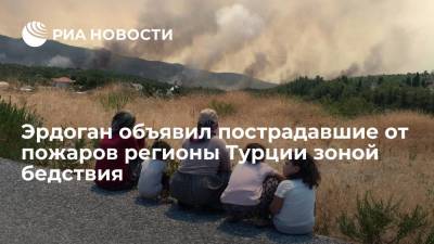 Тайип Эрдоган - Бекир Пакдемирли - Эрдоган объявил пострадавшие от лесных пожаров южные регионы Турции зоной бедствия - ria.ru - Турция - Анкара