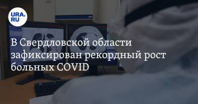 В Свердловской области зафиксирован рекордный рост больных COVID - ura.news - Москва - Санкт-Петербург - Московская обл. - Челябинская обл. - Тюменская обл. - Свердловская обл. - Курганская обл. - Югра - окр. Янао