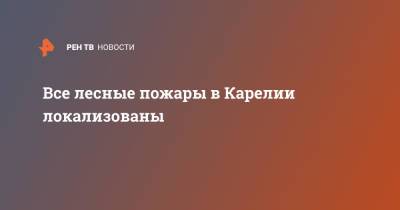 Артур Парфенчиков - Все лесные пожары в Карелии локализованы - ren.tv - Беломорск - республика Карелия