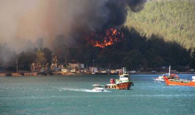 Бекир Пакдемирли - Эрдоган объявил турецкую Анталью зоной бедствия из-за лесных пожаров - newizv.ru - Turkey - провинция Мугла - Мармарис