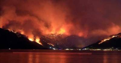 В Турции районы лесных пожаров объявили зонами бедствия - novostiua.news - Украина - Турция - провинция Анталья