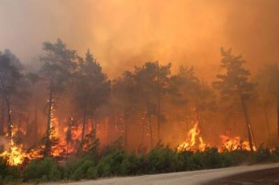 При тушении лесных пожаров в Анталье погибли двое рабочих - unn.com.ua - Украина - Киев - Турция - провинция Анталья