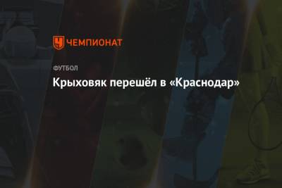 Гжегож Крыховяк - Крыховяк перешёл в «Краснодар» - championat.com - Краснодар - Польша