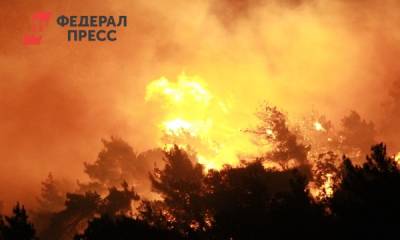 Россиянка описала кошмар в Турции: «боимся спать» - fedpress.ru - Россия - Турция
