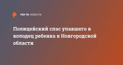 Ирина Волк - Полицейский спас упавшего в колодец ребенка в Новгородской области - ren.tv - Нижегородская обл. - Новгородская обл.