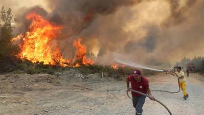 Фахреттин Коджа - От турецких пожаров пострадали более 400 человек - vesti.ru - Турция