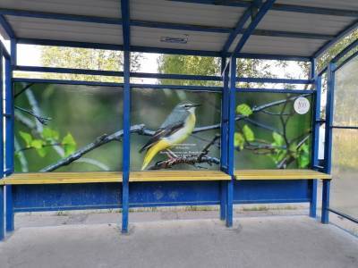 Остановки в Печоре "превратились" в достопримечательности "Югыд ва" - komiinform.ru - Россия - респ. Коми - Печоры