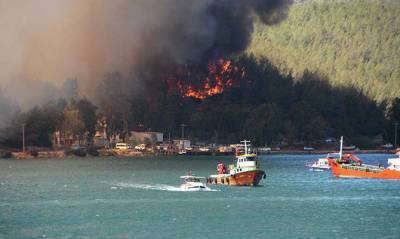 Фахреттин Коджа - Более 400 человек пострадали от лесных пожаров в Турции - capital.ua - Украина - Турция - провинция Анталья - Манавгат