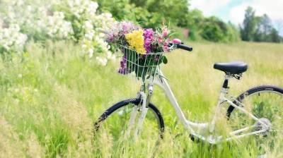 Воронежские синоптики дали прогноз на последний месяц лета - vestivrn.ru - Воронежская обл.