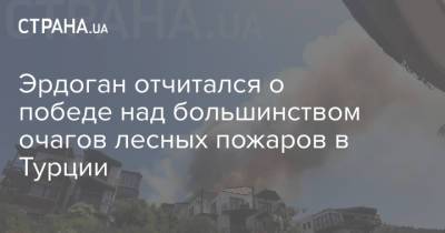 Реджеп Тайип Эрдоган - Эрдоган отчитался о победе над большинством очагов лесных пожаров в Турции - strana.ua - Россия - Украина - Турция - Иран - Азербайджан