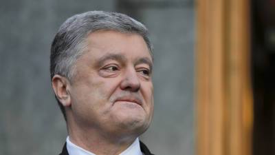 Владимир Путин - Петр Порошенко - Алексей Чепа - Порошенко подозревают в том, что он не читал статью Путина - vesti.ru - Россия - Украина