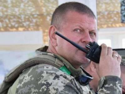 Валерий Залужный - Новый Главнокомандующий ВСУ поставил задачи армейскому командованию - lenta.ua - Украина