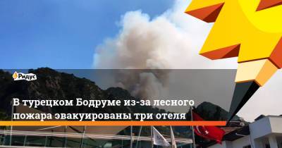 Бекир Пакдемирли - В турецком Бодруме из-за лесного пожара эвакуированы три отеля - ridus.ru - Турция