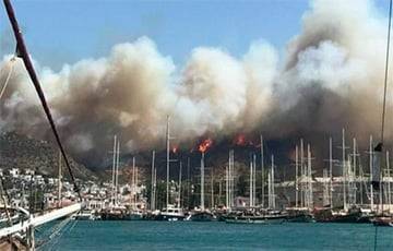 В турецком Бодруме вспыхнули новые пожары: фото и видео - charter97.org - Белоруссия